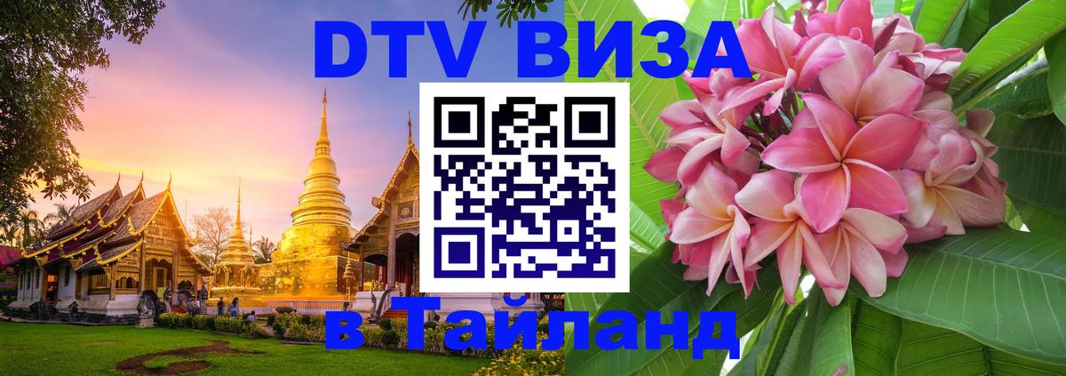 Оформление DTV визы под ключ: стоимость и тарифы, только загранпаспорт - Энгельс  18.11.2025 